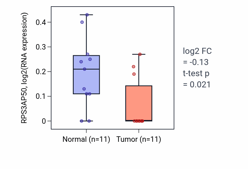 Tumor-vs-normal expression box plot for RPS3AP50 in UCEC.