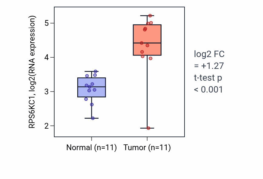 Tumor-vs-normal expression box plot for RPS6KC1 RNA in HNSC.