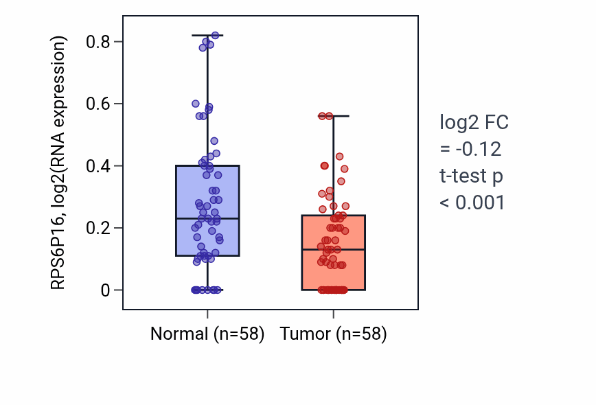 Tumor-vs-normal expression box plot for RPS6P16 in THCA.