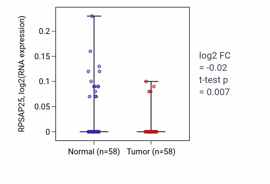 Tumor-vs-normal expression box plot for RPSAP25 in THCA.
