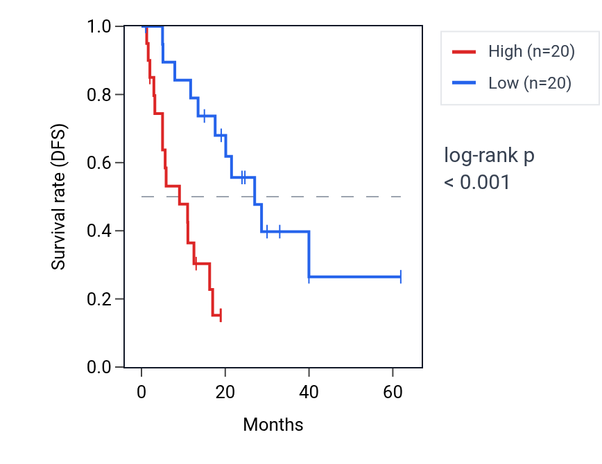 Kaplan&ndash;Meier survival curve for RRAGB RNA expression in COAD: high vs low expression groups.