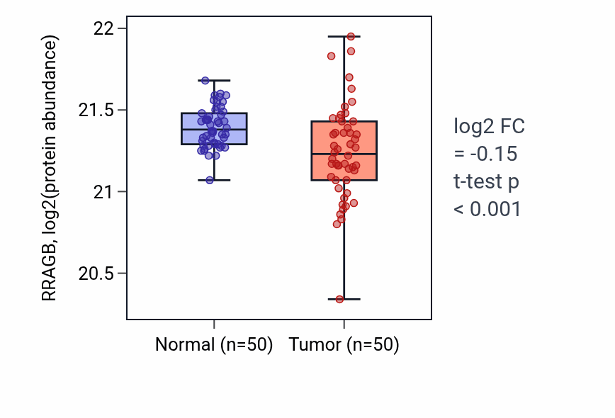 Tumor-vs-normal mass-spec protein box plot for RRAGB in CCRCC.