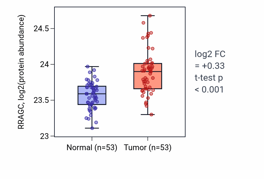 Tumor-vs-normal mass-spec protein box plot for RRAGC in HNSC.