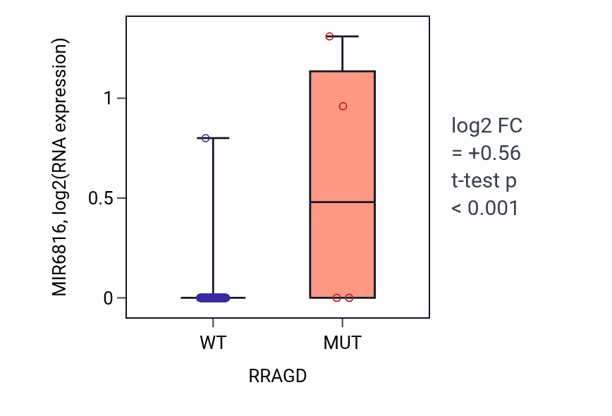 Box plot of MIR6816 in RRAGD-low vs RRAGD-high samples in READ.