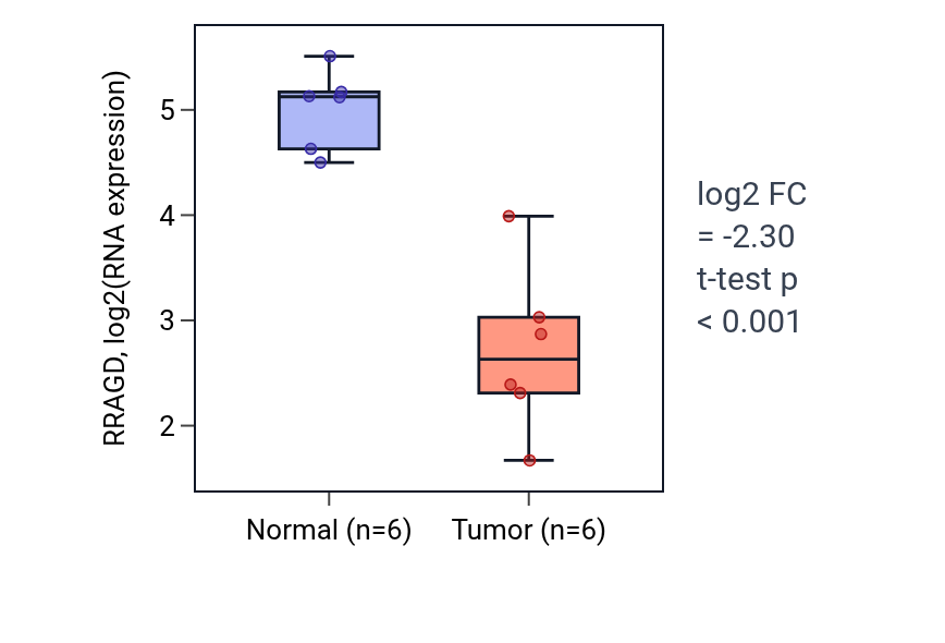 Tumor-vs-normal expression box plot for RRAGD in HNSC.
