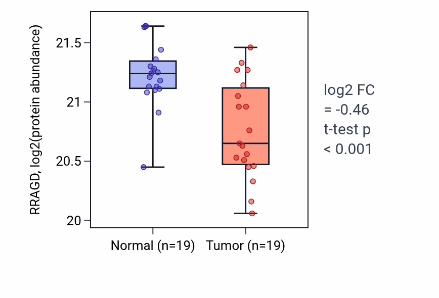 Tumor-vs-normal mass-spec protein box plot for RRAGD in LSCC.