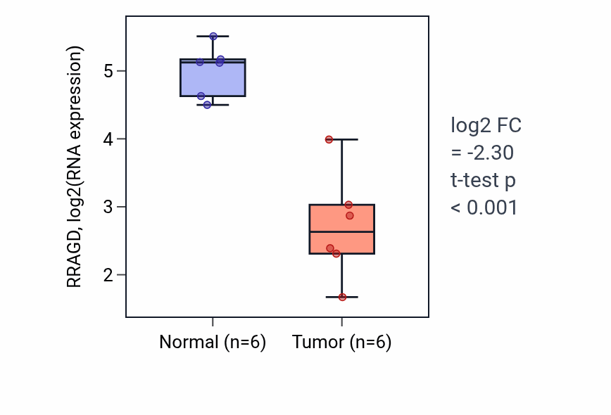 Tumor-vs-normal expression box plot for RRAGD RNA in HNSC.