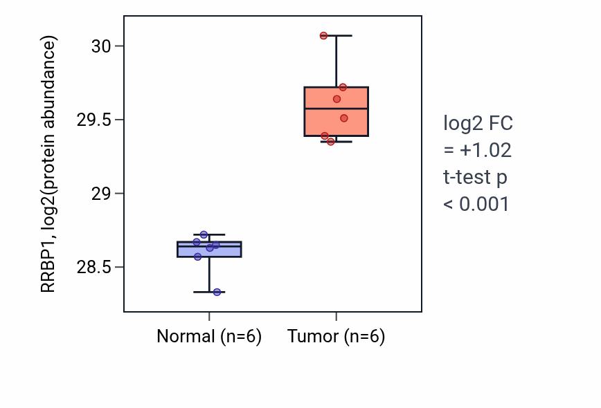 Tumor-vs-normal mass-spec protein box plot for RRBP1 in LUAD.
