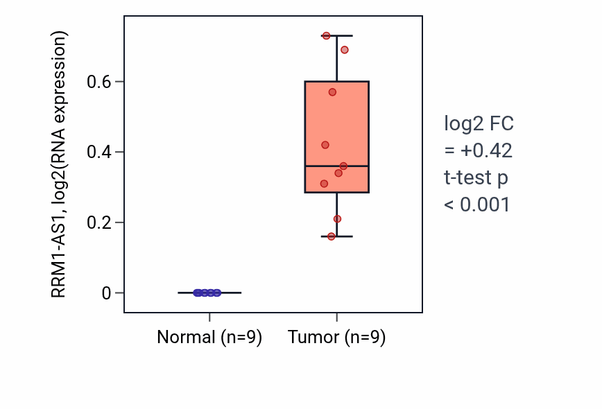Tumor-vs-normal expression box plot for RRM1-AS1 in HNSC.