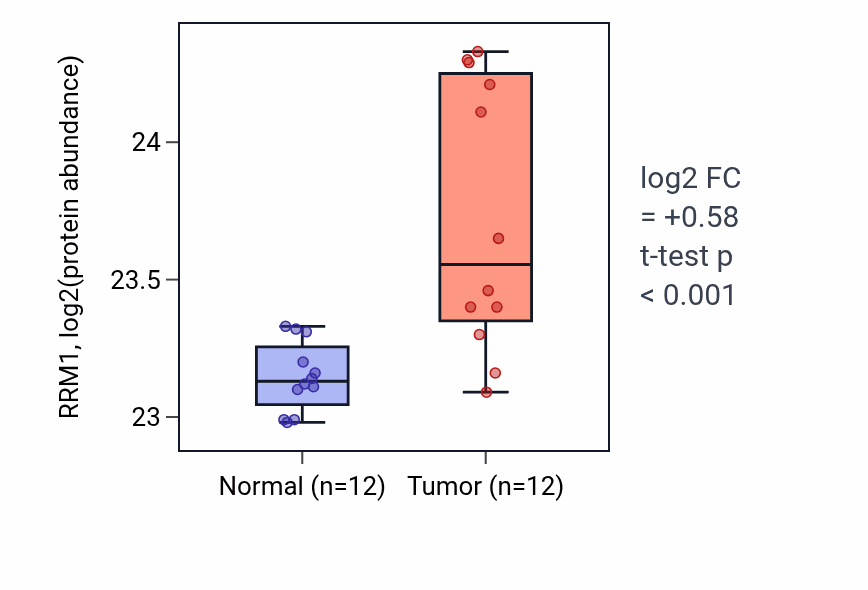 Tumor-vs-normal mass-spec protein box plot for RRM1 in CCRCC.