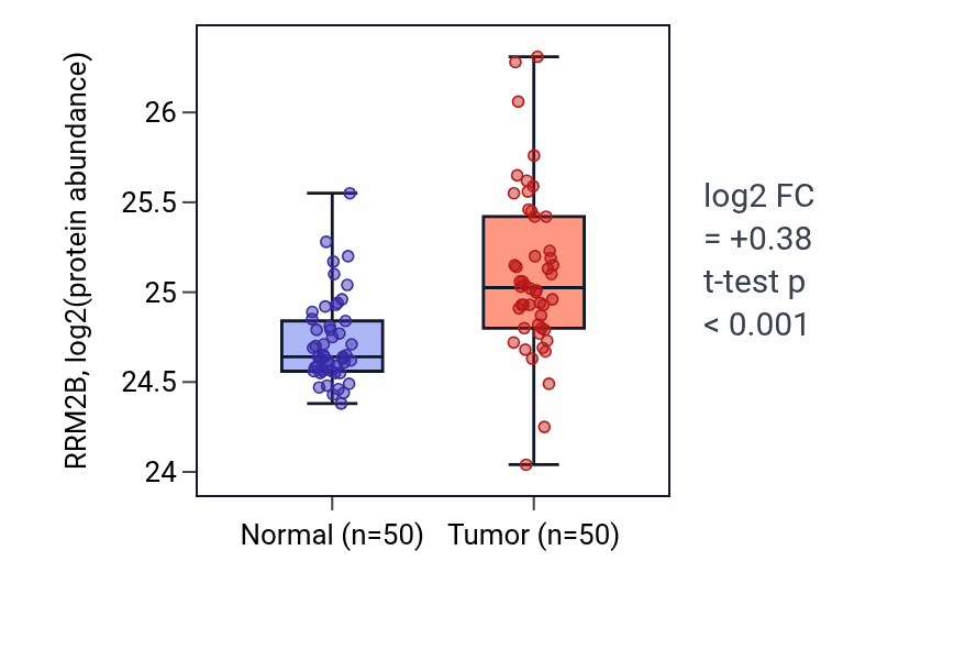 Tumor-vs-normal mass-spec protein box plot for RRM2B in CCRCC.