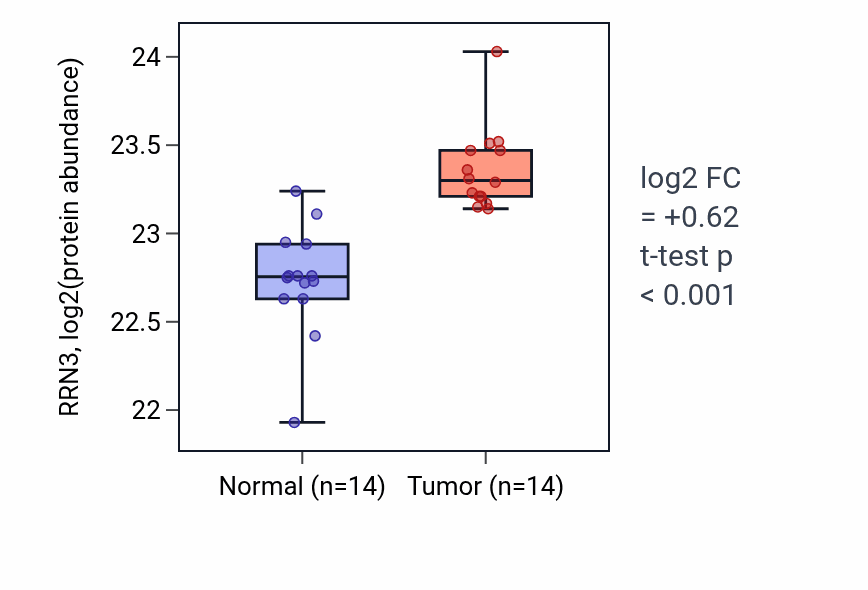 Tumor-vs-normal mass-spec protein box plot for RRN3 in CCRCC.