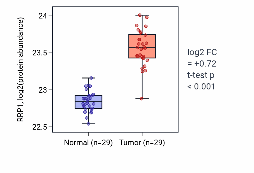 Tumor-vs-normal mass-spec protein box plot for RRP1 in CCRCC.