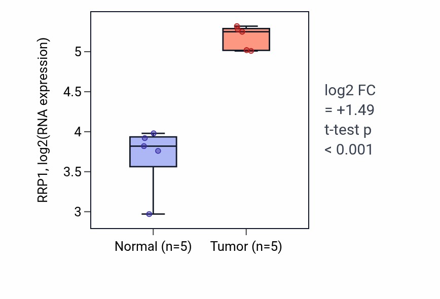 Tumor-vs-normal expression box plot for RRP1 RNA in COAD.