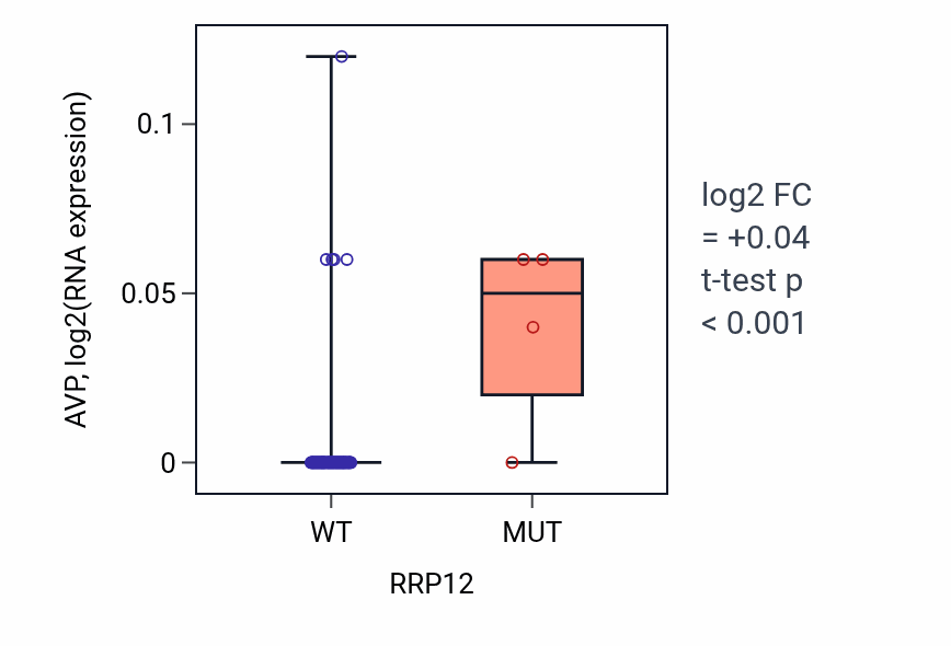 Box plot of AVP in RRP12-low vs RRP12-high samples in LUNG_NSCLC_LUAD.