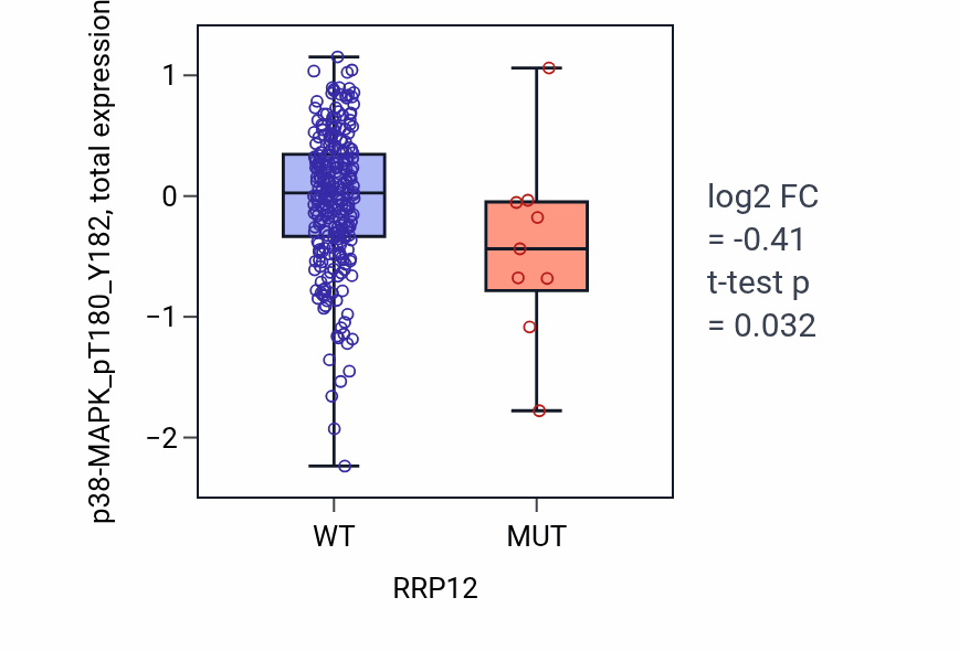 Box plot of p38-MAPK_pT180_Y182 in RRP12-low vs RRP12-high samples in STAD.