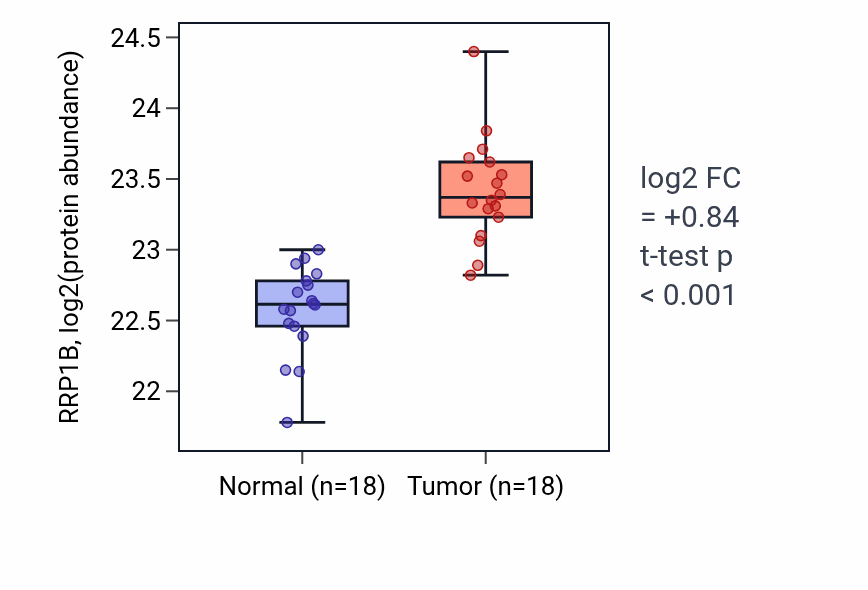 Tumor-vs-normal mass-spec protein box plot for RRP1B in COAD.