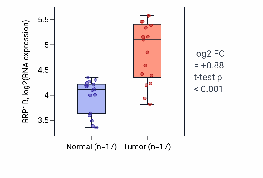 Tumor-vs-normal expression box plot for RRP1B RNA in COAD.