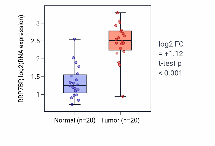 Tumor-vs-normal expression box plot for RRP7BP in COAD.