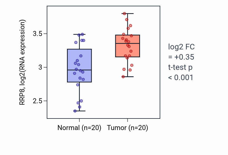 Tumor-vs-normal expression box plot for RRP8 RNA in KIRC.