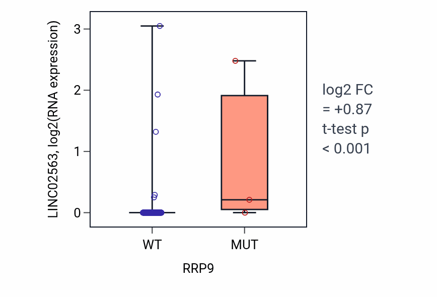 Box plot of LINC02563 in RRP9-low vs RRP9-high samples in CESC.