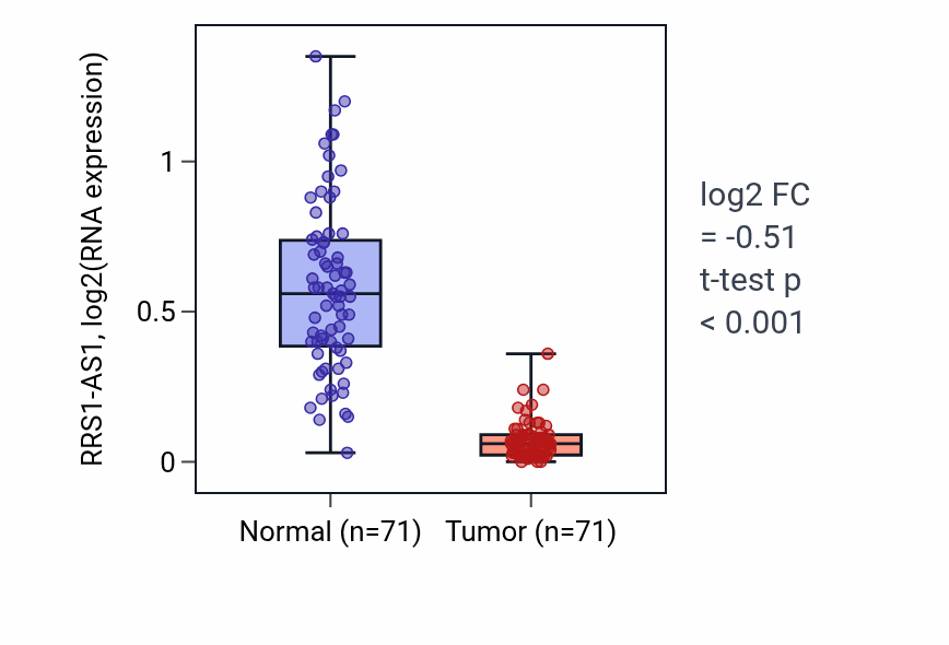 Tumor-vs-normal expression box plot for RRS1-AS1 in KIRC.