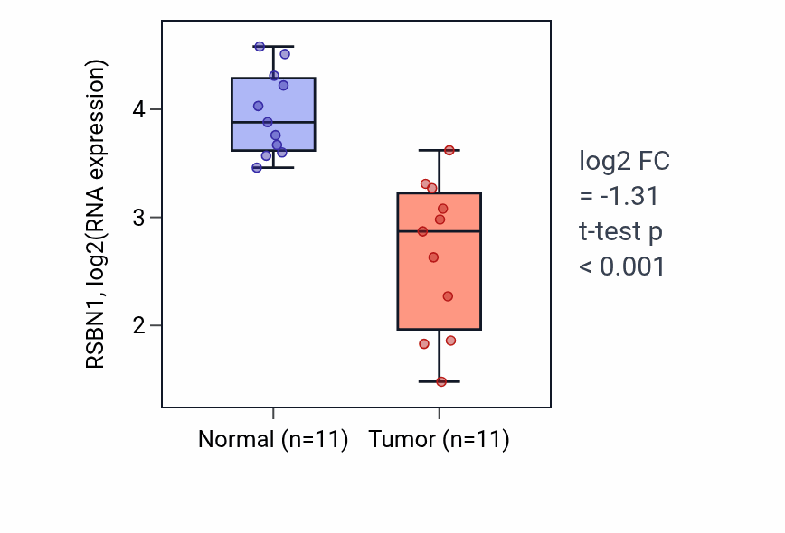 Tumor-vs-normal expression box plot for RSBN1 RNA in KICH.