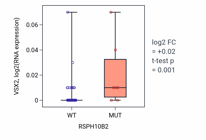 Box plot of VSX2 in RSPH10B2-low vs RSPH10B2-high samples in LARGE_INTESTINE.