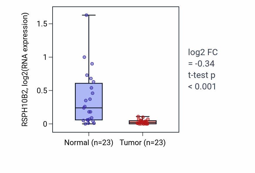 Tumor-vs-normal expression box plot for RSPH10B2 RNA in LUSC.