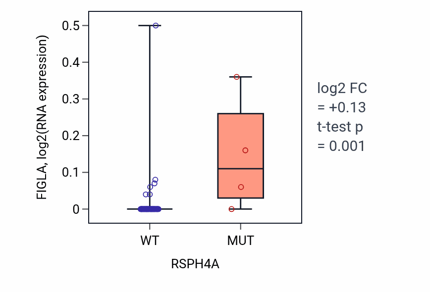 Box plot of FIGLA in RSPH4A-low vs RSPH4A-high samples in OVARY.