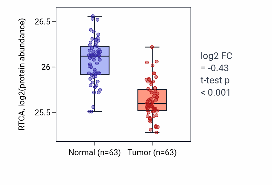 Tumor-vs-normal mass-spec protein box plot for RTCA in CCRCC.