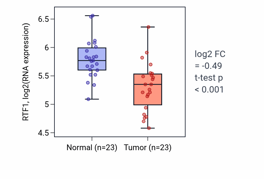Tumor-vs-normal expression box plot for RTF1 RNA in THCA.