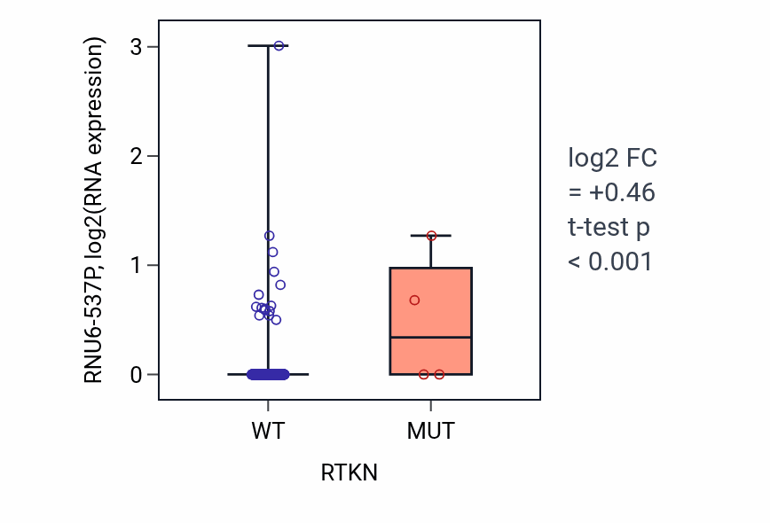 Box plot of RNU6-537P in RTKN-low vs RTKN-high samples in LUSC.