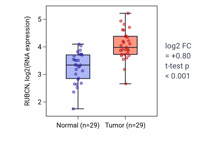 Tumor-vs-normal expression box plot for RUBCN RNA in HNSC.