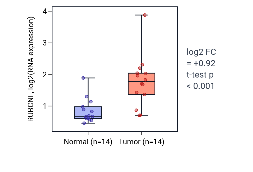 Tumor-vs-normal expression box plot for RUBCNL in KIRC.