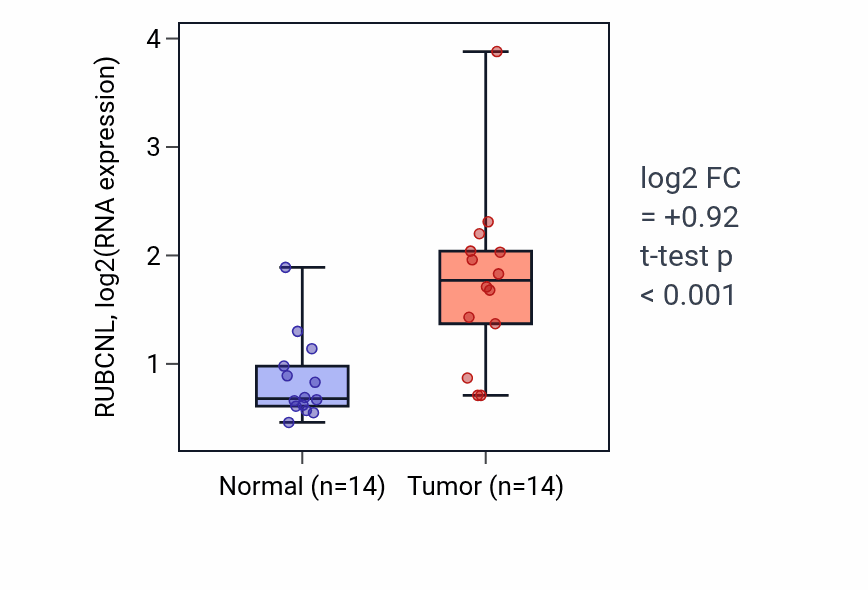 Tumor-vs-normal expression box plot for RUBCNL RNA in KIRC.