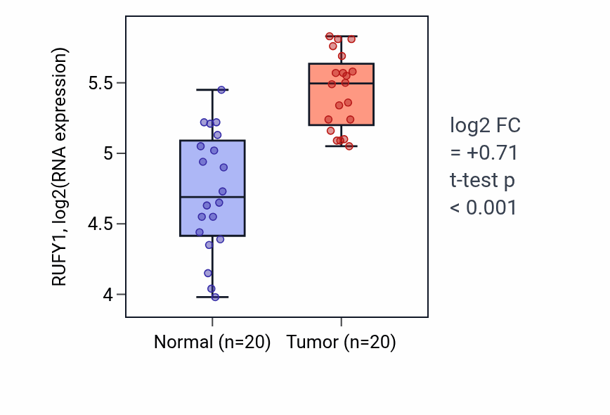 Tumor-vs-normal expression box plot for RUFY1 RNA in KIRC.