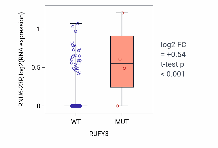 Box plot of RNU6-23P in RUFY3-low vs RUFY3-high samples in HNSC.