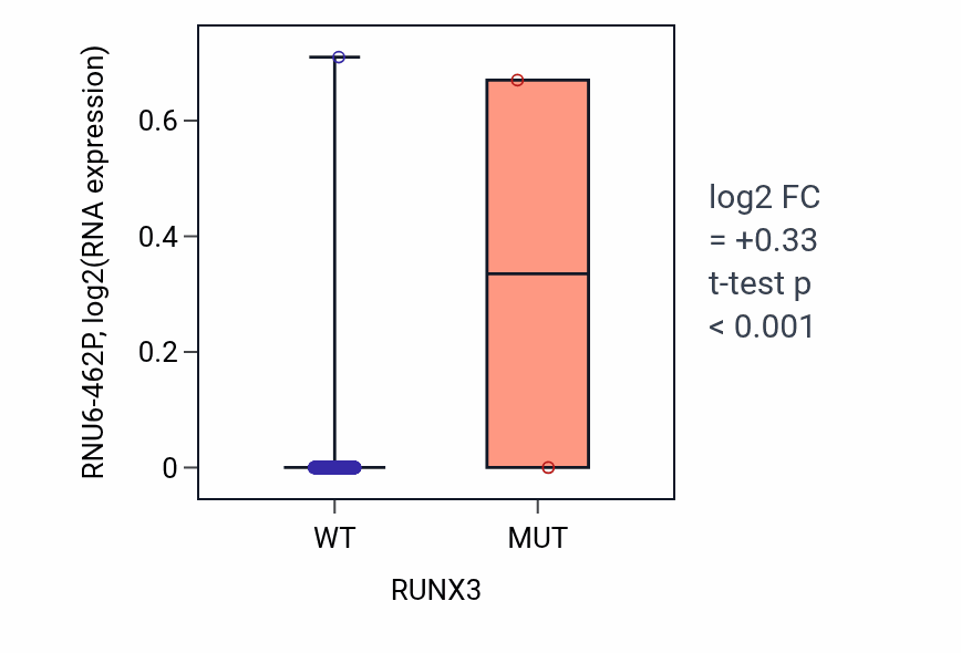 Box plot of RNU6-462P in RUNX3-low vs RUNX3-high samples in LGG.