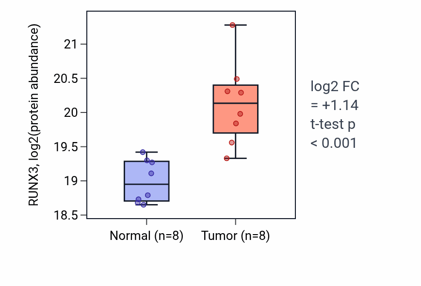 Tumor-vs-normal mass-spec protein box plot for RUNX3 in CCRCC.