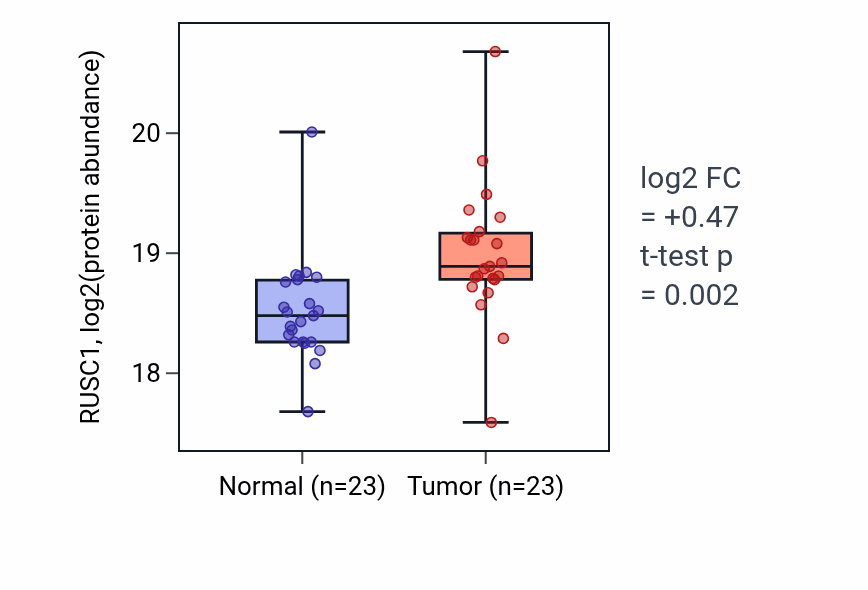 Tumor-vs-normal mass-spec protein box plot for RUSC1 in CCRCC.