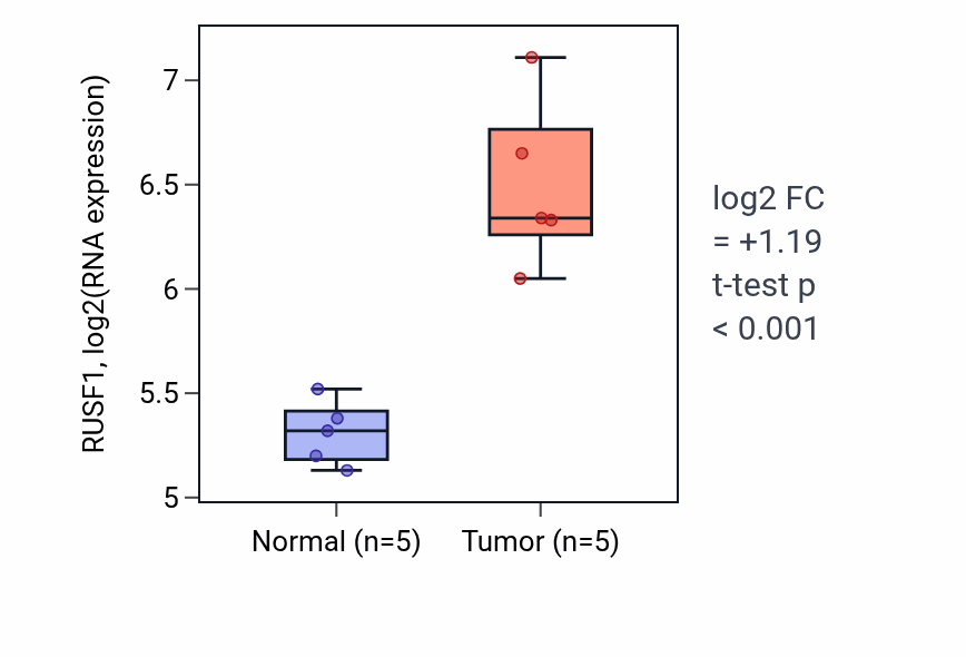 Tumor-vs-normal expression box plot for RUSF1 RNA in KIRP.