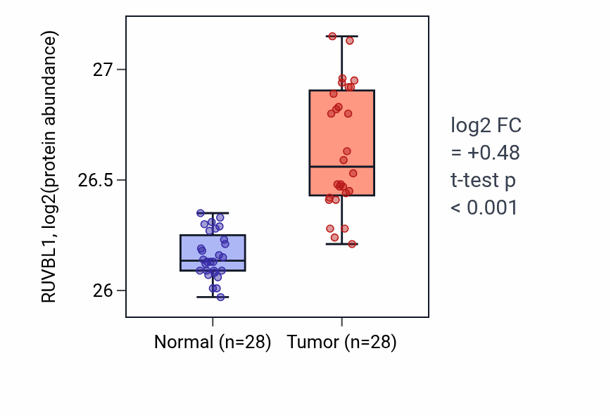 Tumor-vs-normal mass-spec protein box plot for RUVBL1 in COAD.