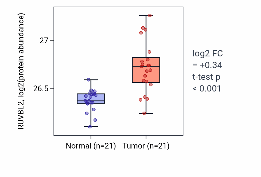 Tumor-vs-normal mass-spec protein box plot for RUVBL2 in HNSC.