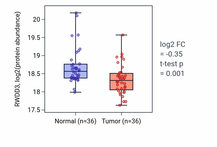 Tumor-vs-normal mass-spec protein box plot for RWDD3 in LSCC.