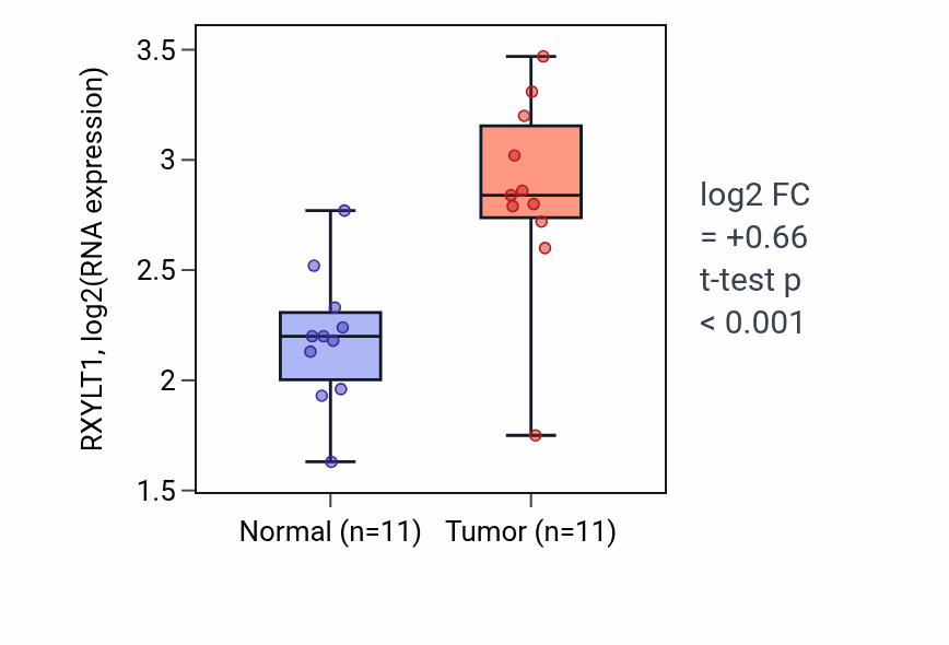 Tumor-vs-normal expression box plot for RXYLT1 RNA in HNSC.