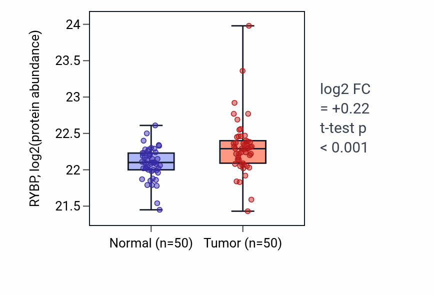 Tumor-vs-normal mass-spec protein box plot for RYBP in LSCC.