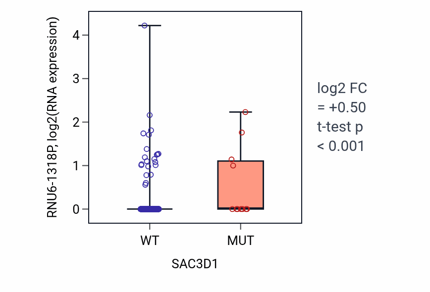 Box plot of RNU6-1318P in SAC3D1-low vs SAC3D1-high samples in UCEC.