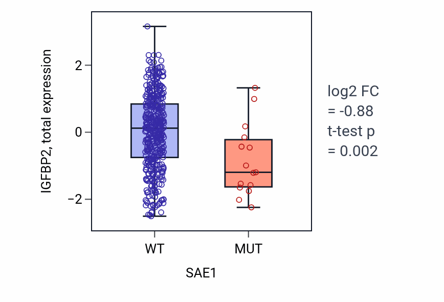 Box plot of IGFBP2 in SAE1-low vs SAE1-high samples in UCEC.