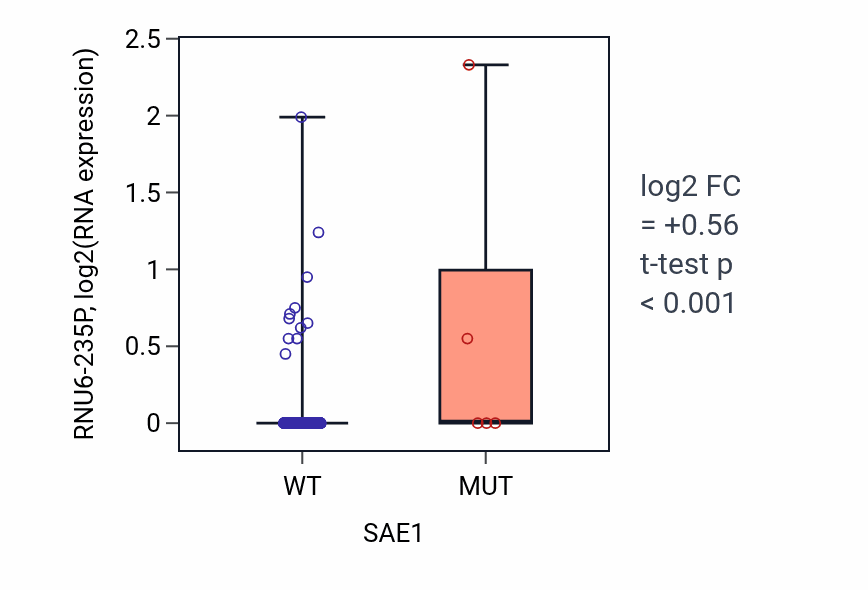 Box plot of RNU6-235P in SAE1-low vs SAE1-high samples in SKCM.